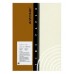 Azone Metallic Fine Paper 250g White-Gold A4 7'S - 1