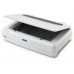 Epson Flatbed Photo Scanner Expression 13000XL - 1