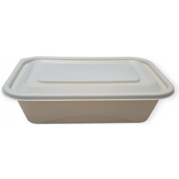 Bio Corn Rectangle Box With Lid 300'S 750ml Bio Corn Rectangle Box With Lid 300'S 750ml