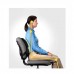 Fellowes Professional Series Ultimate Back Support - 4