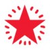 Shiny Teacher Pre-Inked Stamp (Passed, Well Done, Very Good, Star, Excellent etc) - 13