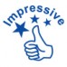 Shiny Teacher Pre-Inked Stamp (Untidy, Impressive, Perfect, Messy, Improving  etc) - 4