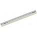 Plastic Ruler (30cm, 12") - 1