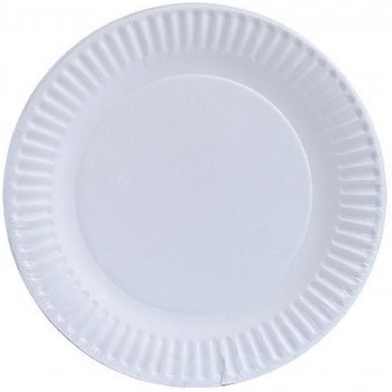 Paper Plate 6