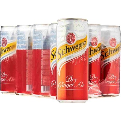 Schweppes Dry Ginger Ale Can Drink (24 Cans) 320ml