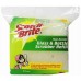 3M Scotch-Brite Non-Scratch Glass & Bottle Scrubber Refill 2'S - 1