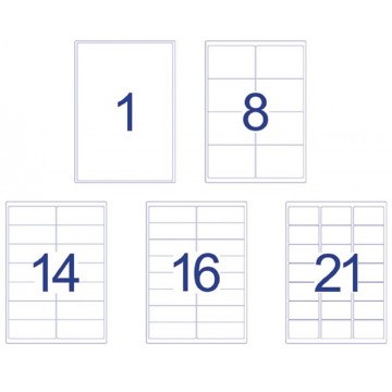 Avery Crystal Clear Labels 25'S A4